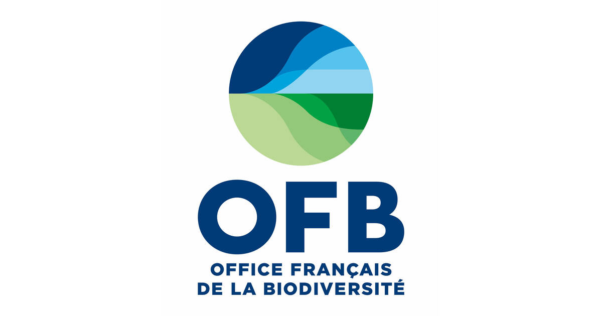 logo ofb